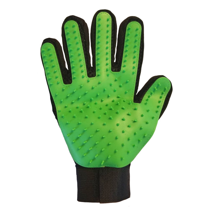 The Glove!